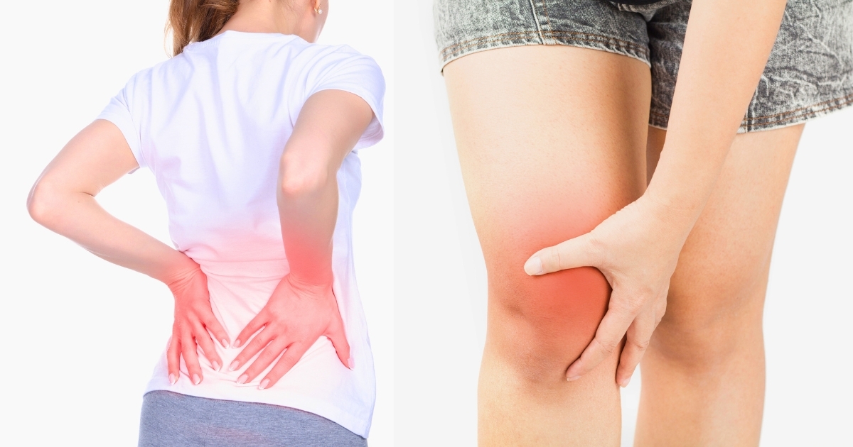 Back & Knee Pain In The Gym 5 Things You Should Know! Movement